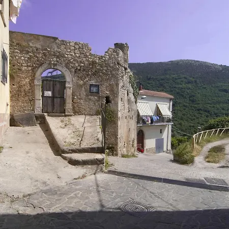 Monticello Отель типа 