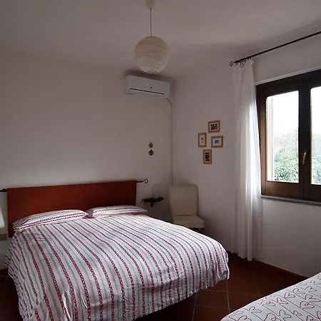 Monticello Отель типа 